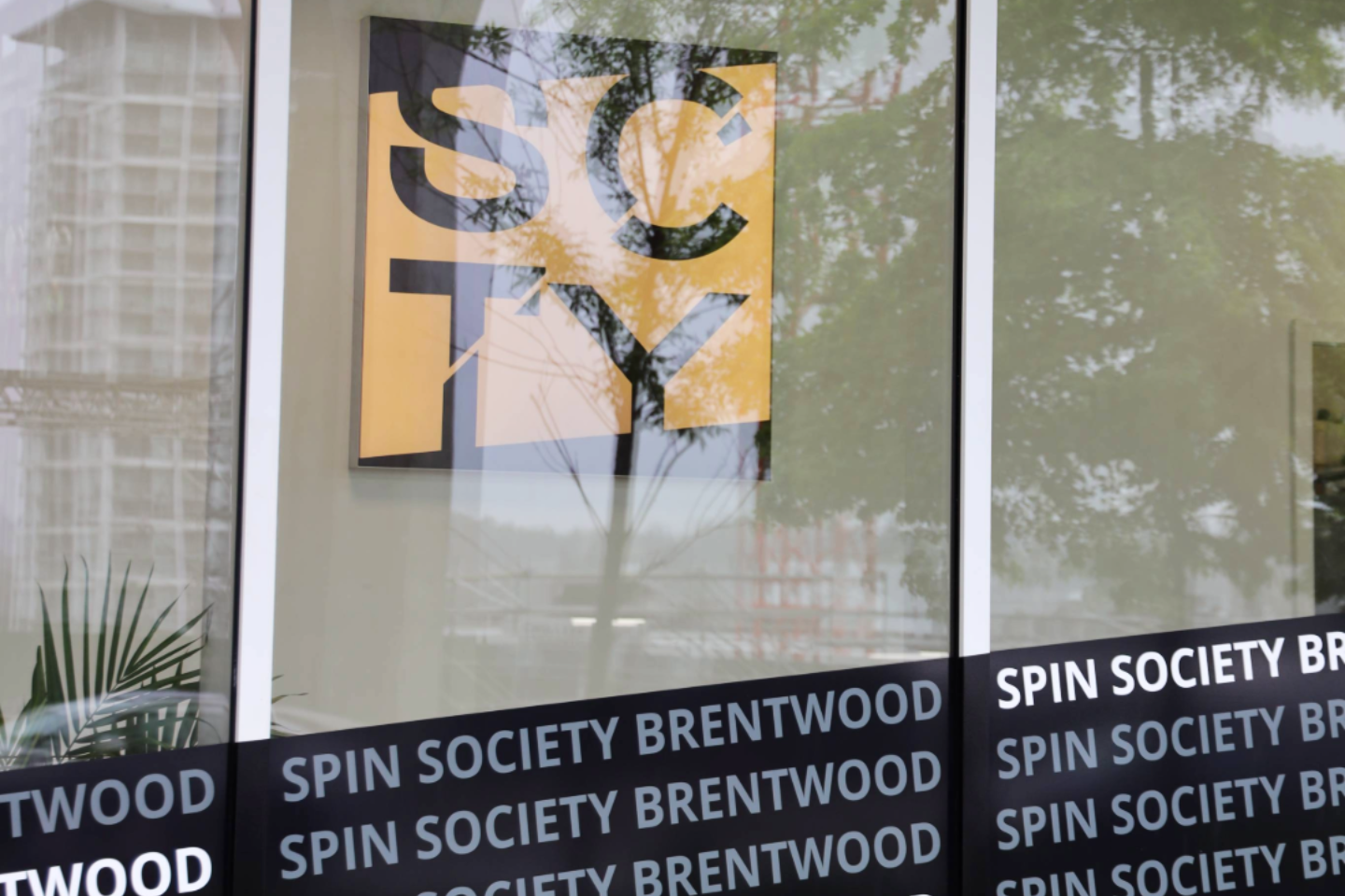 Spin Society