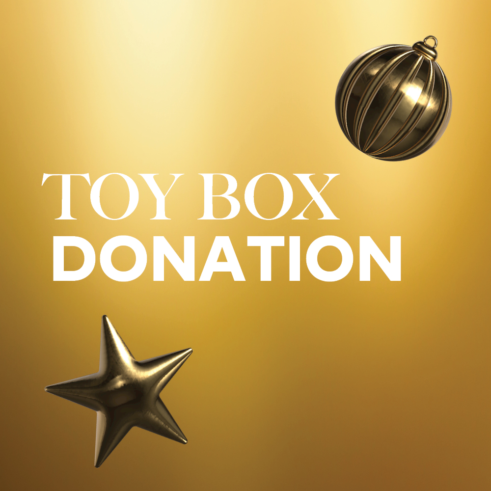 Toy Box Donation